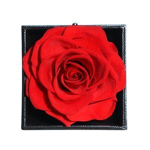 RED Preserved Real Rose - Will last for 3-5 years - Valentine's Day Gift